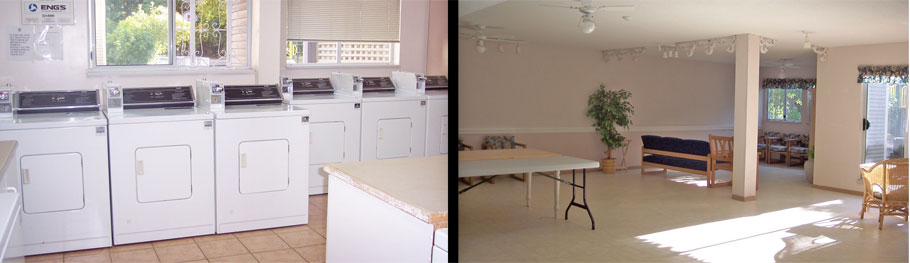 Laundry room, meeting room